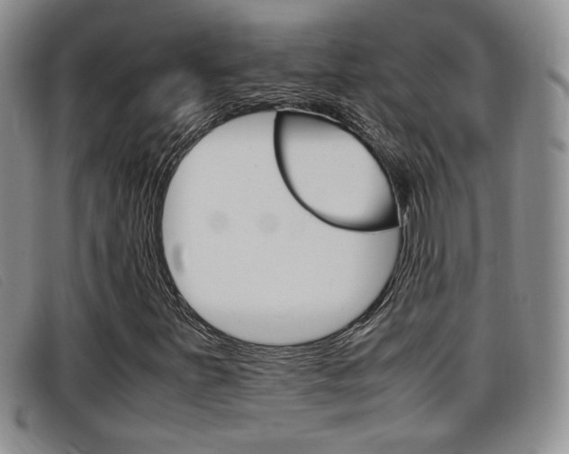 X0000096731251200802051120