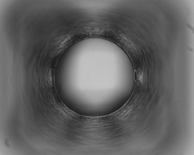 X0000096731252200802051120