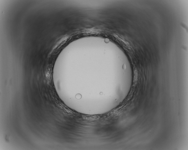 X0000096731254200802051120