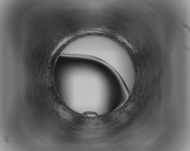 X0000096731256200802051120