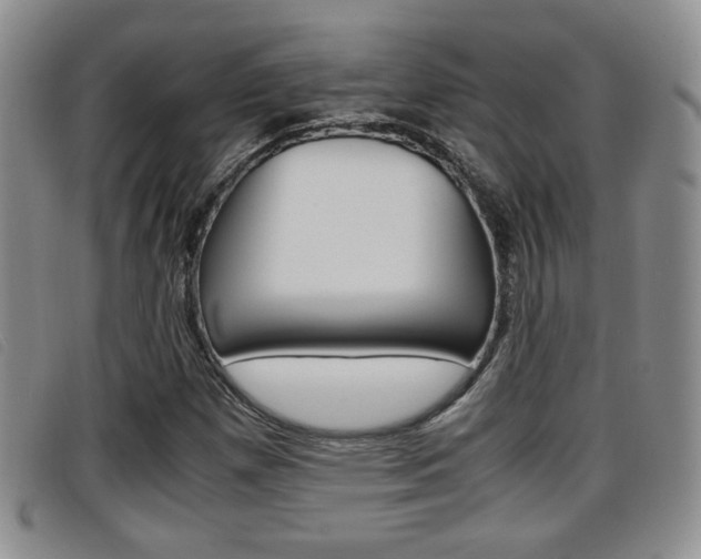 X0000096731257200802051120