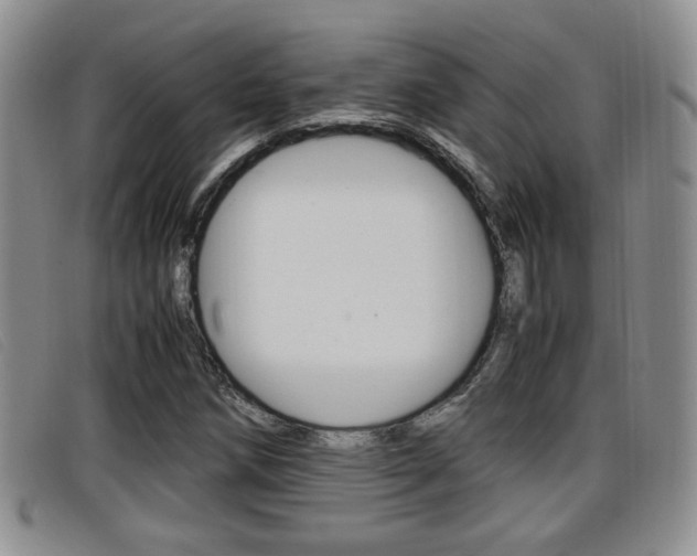X0000096731258200802051120