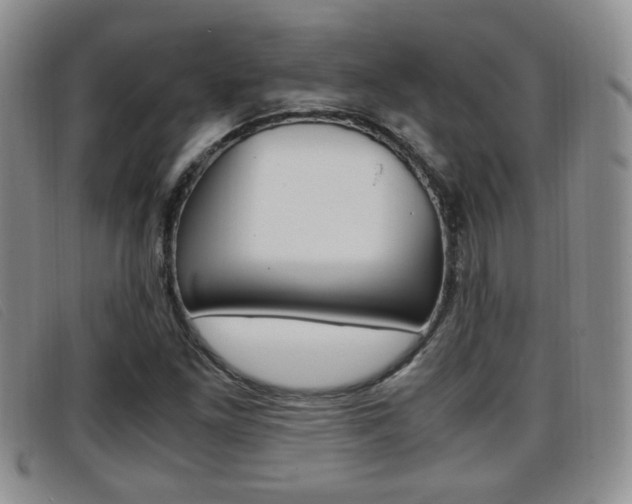 X0000096731261200802051120