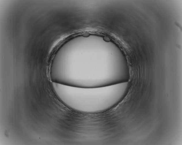 X0000096731262200802051120