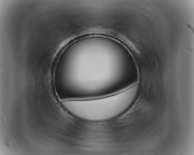 X0000096731264200802051120