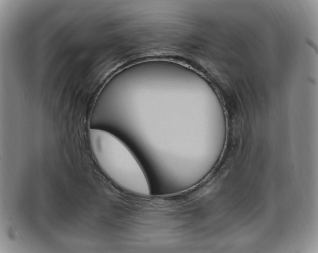 X0000096731265200802051120