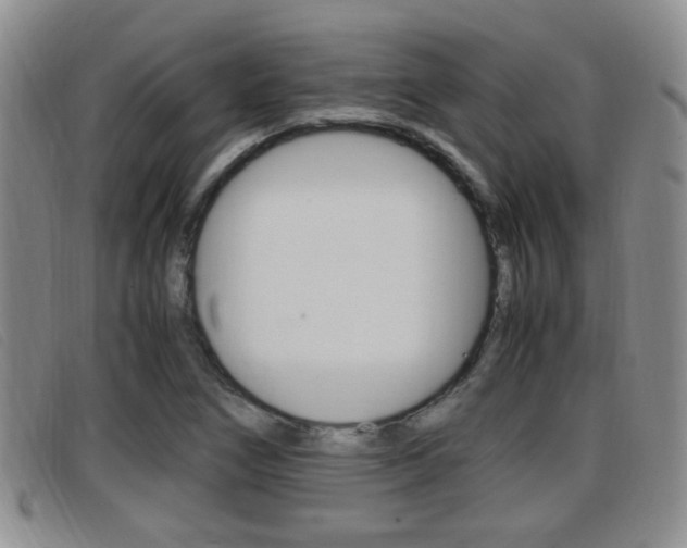 X0000096731266200802051120