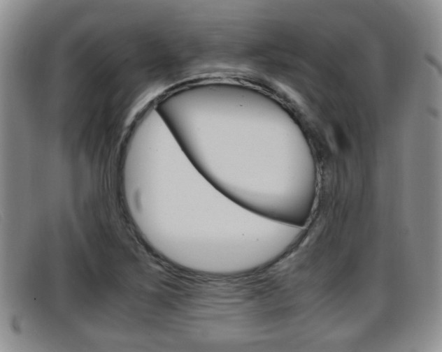 X0000096731267200802051120
