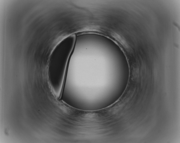 X0000096731268200802051120