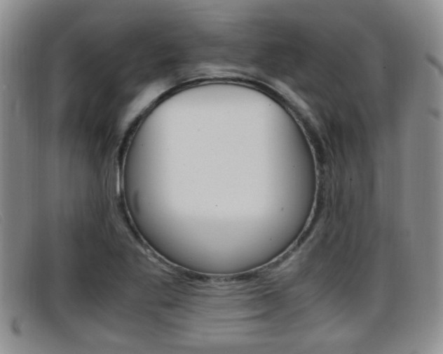X0000096731269200802051120