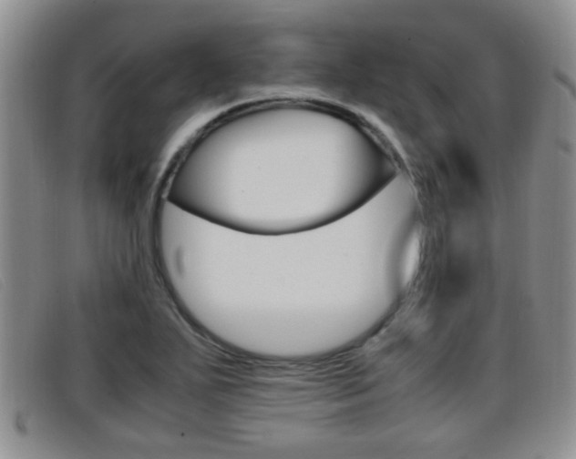 X0000096731271200802051120