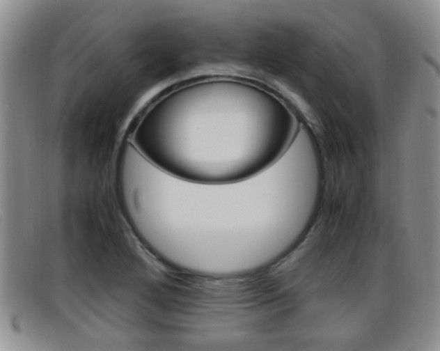 X0000096731272200802051120