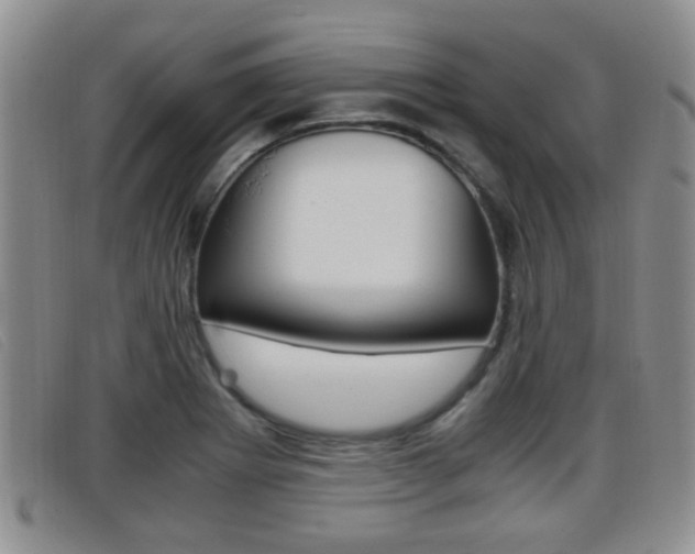 X0000096731273200802051120