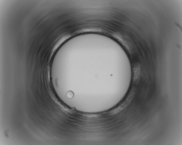 X0000096731274200802051120