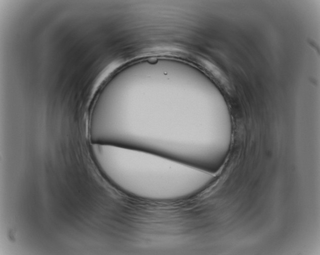 X0000096731275200802051120