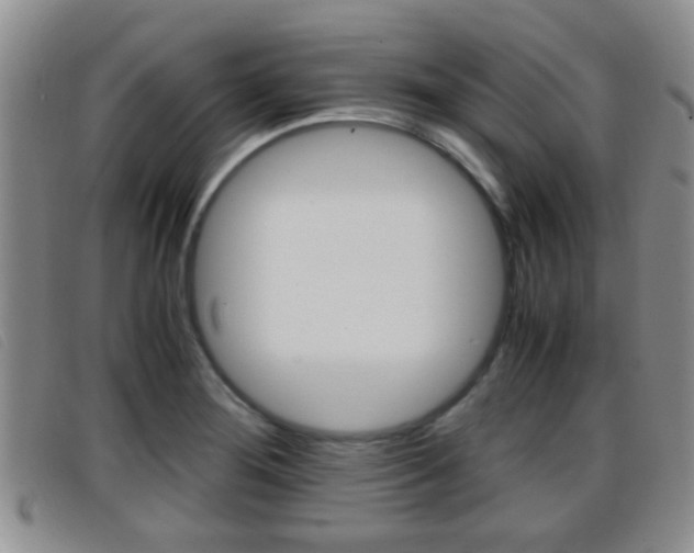X0000096731276200802051120