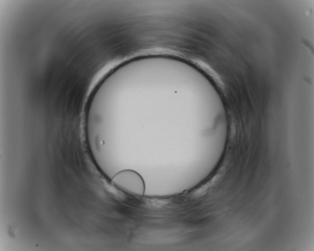 X0000096731278200802051120