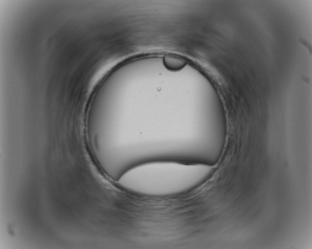 X0000096731279200802051120