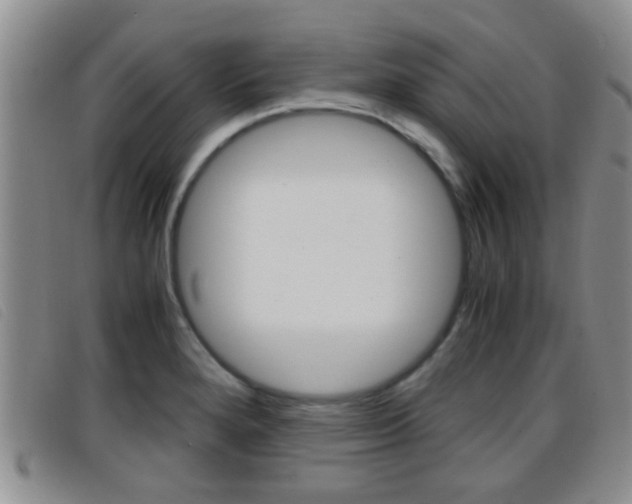 X0000096731280200802051120