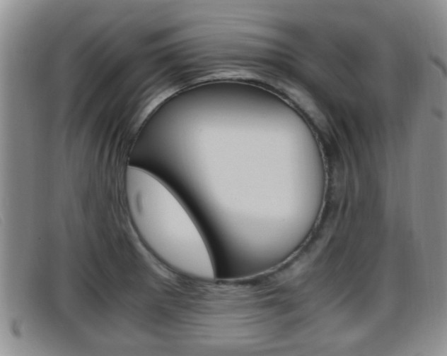 X0000096731281200802051120