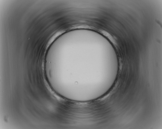 X0000096731282200802051120