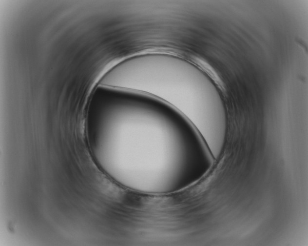 X0000096731284200802051120