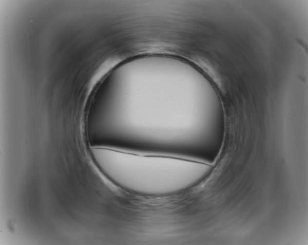 X0000096731285200802051120
