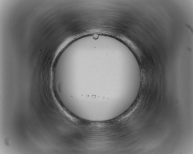 X0000096731286200802051120