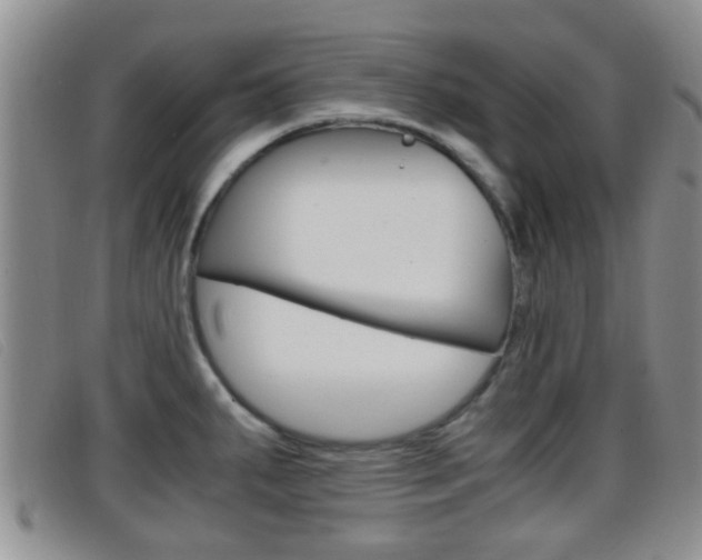 X0000096731287200802051120