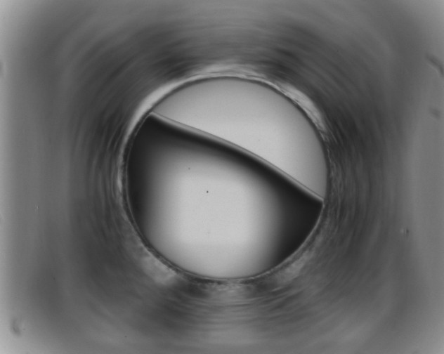X0000096731288200802051120