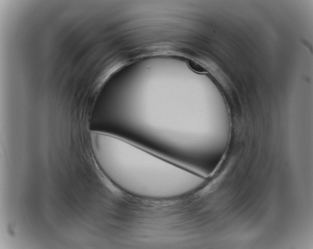 X0000096731289200802051120