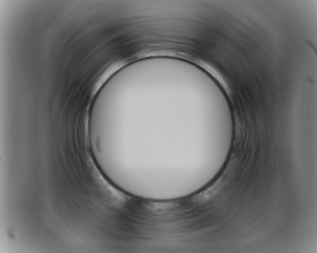 X0000096731290200802051120
