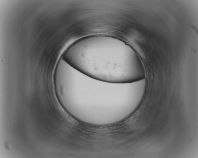 X0000096731291200802051119
