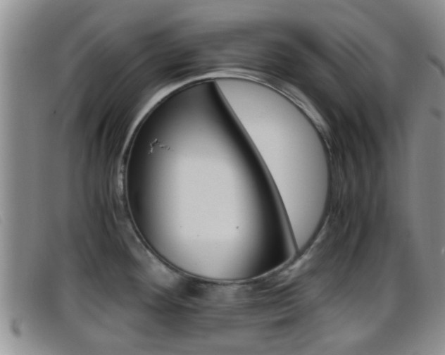 X0000096731292200802051119