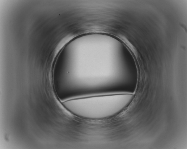 X0000096731293200802051119