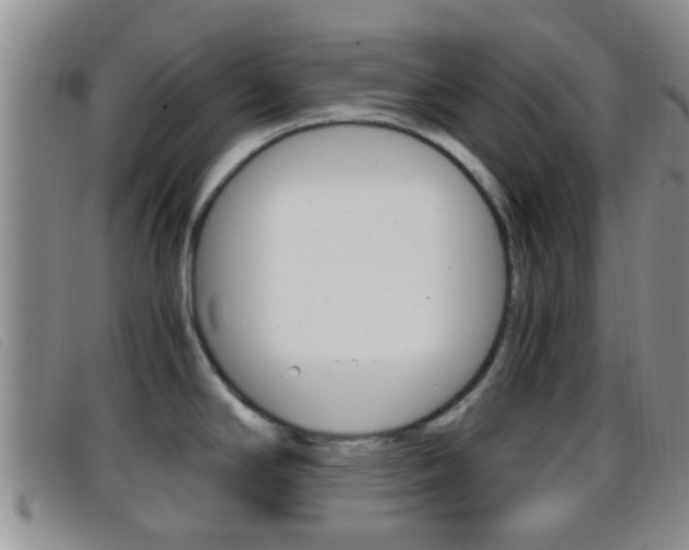 X0000096731294200802051119