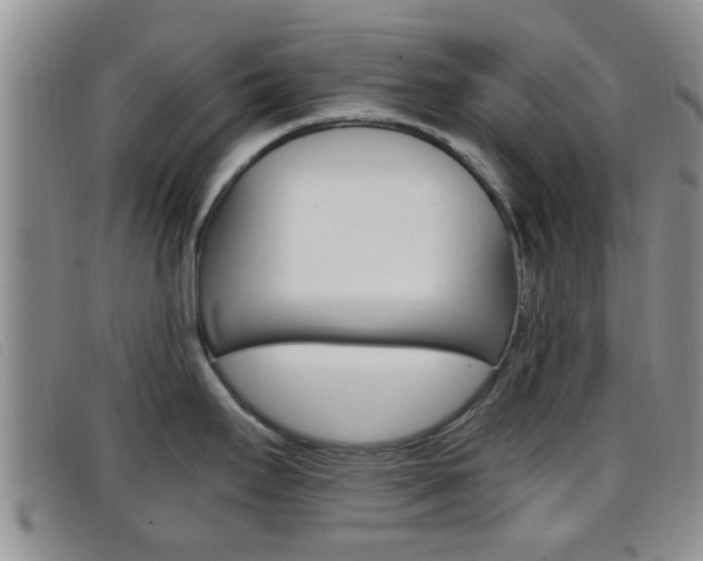 X0000096731295200802051119