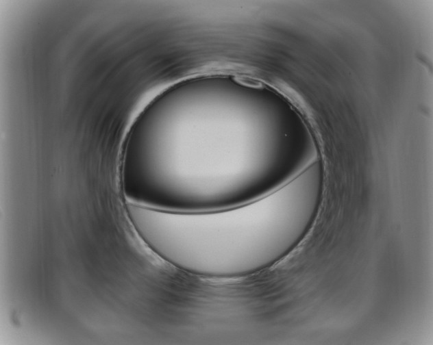 X0000096731296200802051119