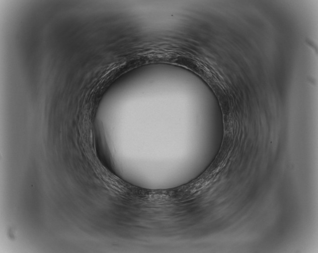 X0000096731297200802051119