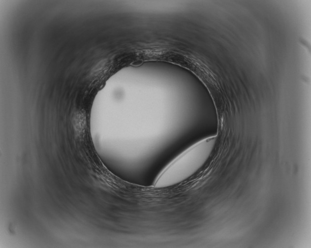 X0000096731299200802051119
