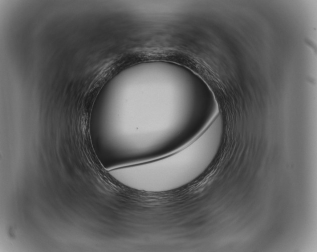 X0000096731300200802051119