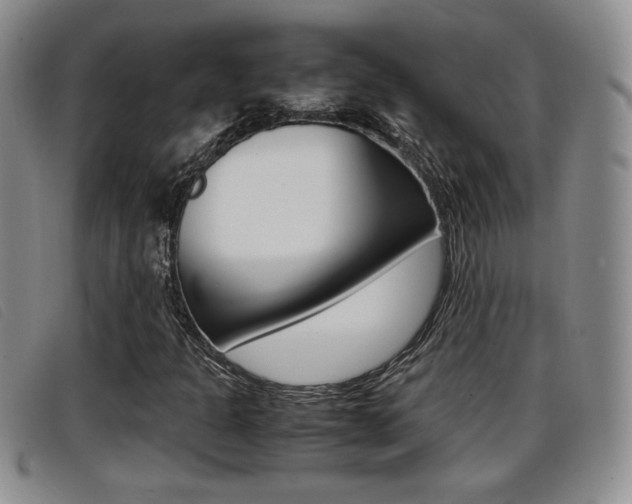 X0000096731301200802051119