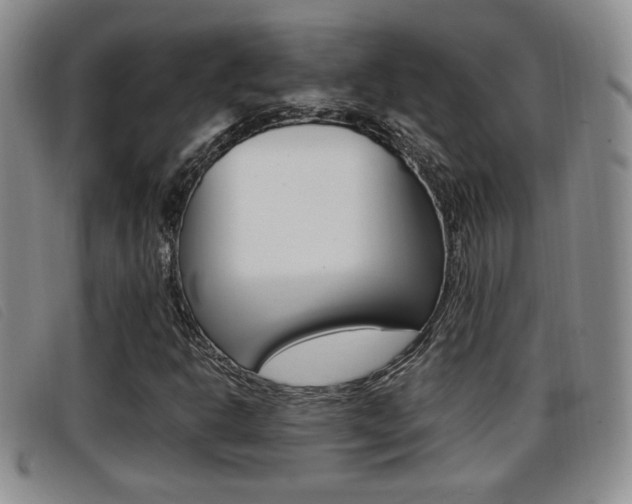 X0000096731302200802051119