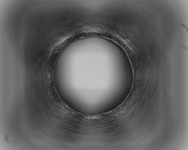 X0000096731303200802051119
