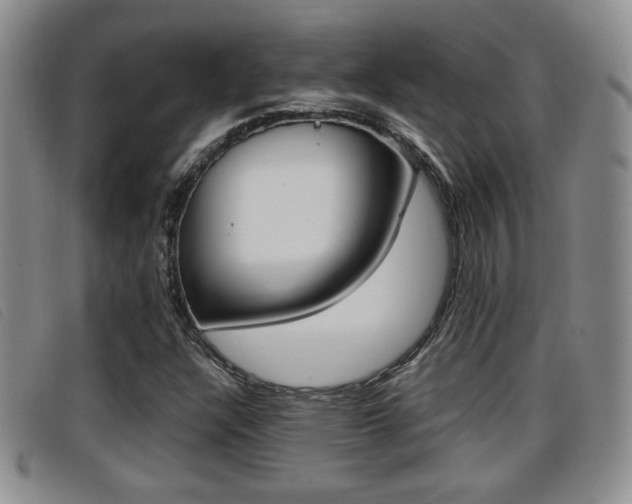 X0000096731304200802051119