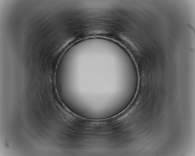 X0000096731305200802051119