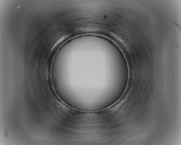 X0000096731306200802051119