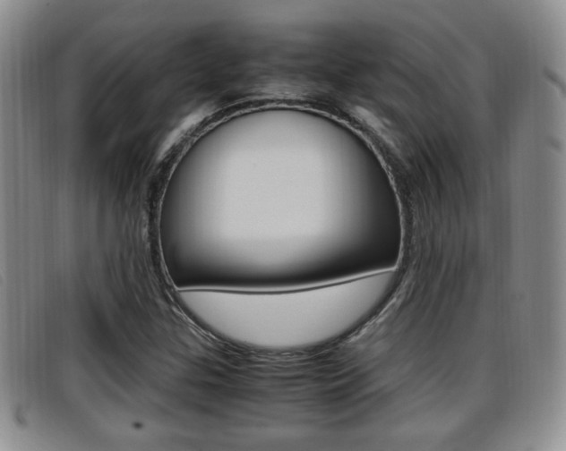 X0000096731307200802051119