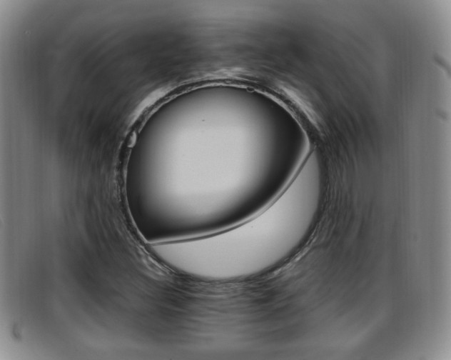 X0000096731308200802051119