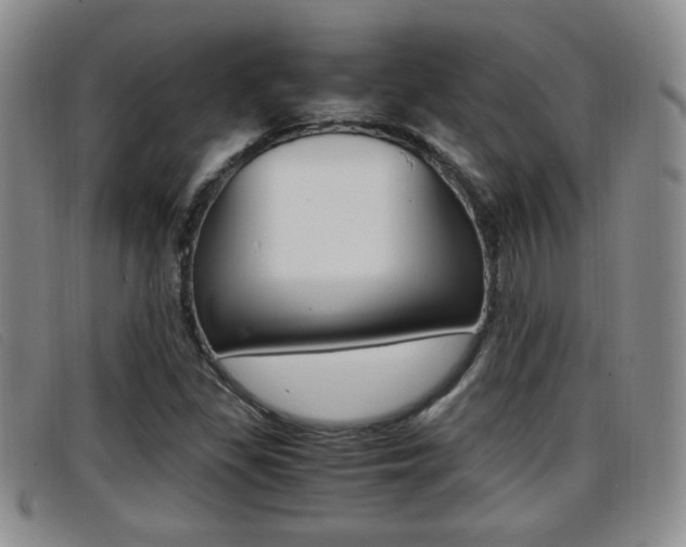 X0000096731309200802051119